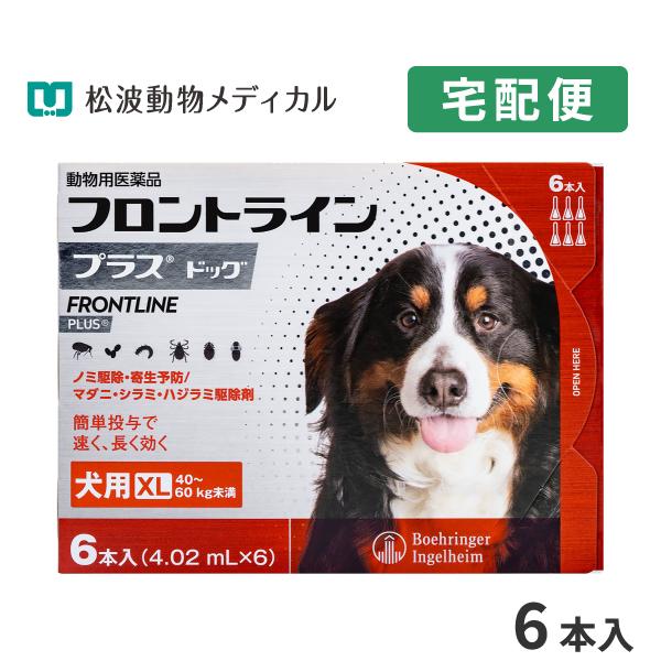 【10％OFFクーポン】フロントラインプラス 犬用 XL (40〜60kg) 6ピペット 動物用医薬...