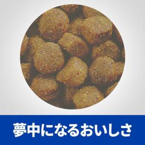 ヒルズ 犬用 食物アレルギーケア【z/d】 小...の詳細画像3