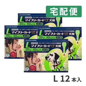 【4箱セット】マイフリーガードα 犬用 L (20〜40kg) 3ピペット 4箱セット 動物用医薬品