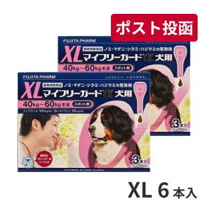 ゆうパケット(宅配便同梱不可)【2箱セット】マイフリーガードα 犬用 XL (40〜60kg) 3本入 動物用医薬品