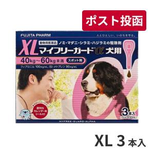 ゆうパケット(宅配便同梱不可)マイフリーガードα 犬用 XL (40〜60kg) 3本入 動物用医薬品