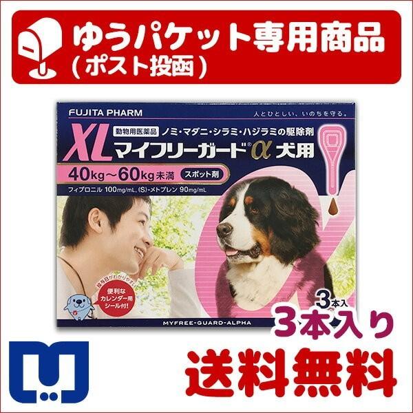 マイフリーガードα 犬用 XL (40〜60kg) 3本入 動物用医薬品【A配送】
