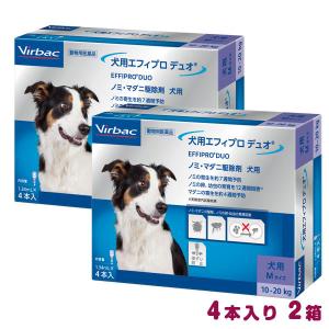 犬用 エフィプロ デュオ M 1.34mL×4本入　2箱セット  【ノミ・マダニ駆除】【動物用医薬品】【B配送】｜matsunami