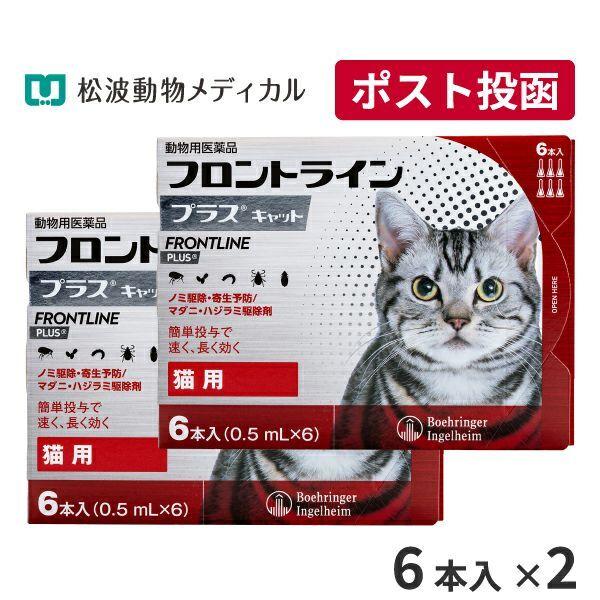 ゆうパケット(宅配便同梱不可)【2箱セット】フロントラインプラス 猫用 6本入 動物用医薬品
