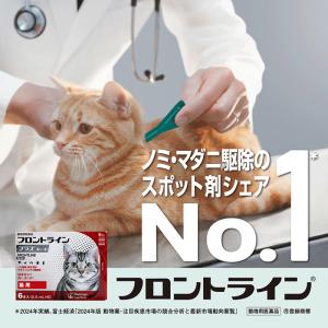 ゆうパケット(宅配便同梱不可)フロントラインプ...の詳細画像2