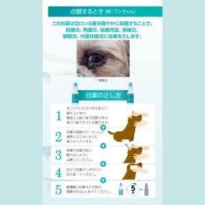 犬猫用 ワンクリーン 15ml 【動物用医薬品...の詳細画像3
