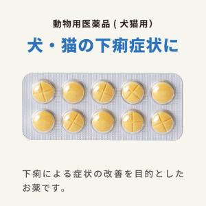 【動物用医薬品】動物用 新テスミンS 20錠 ...の詳細画像1