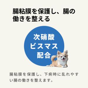 【動物用医薬品】動物用 新テスミンS 20錠 ...の詳細画像2