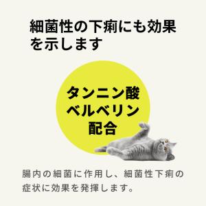 【動物用医薬品】動物用 新テスミンS 20錠 ...の詳細画像3