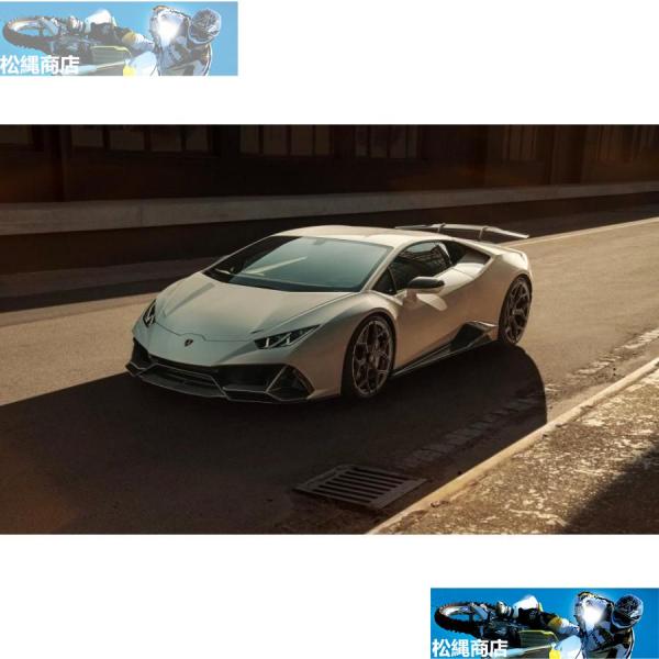 Lamborghini ランボルギーニ ウラカン EVO 2019年?用 NOVITタイプ ドライカ...