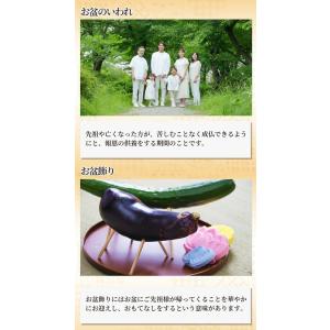 盆提灯 ルミナス アレンジ 胡蝶蘭 高さ約46...の詳細画像2