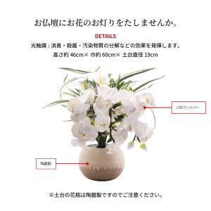 盆提灯 ルミナス アレンジ 胡蝶蘭 高さ約46...の詳細画像3