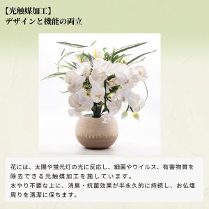 盆提灯 ルミナス アレンジ 胡蝶蘭 高さ約46...の詳細画像5