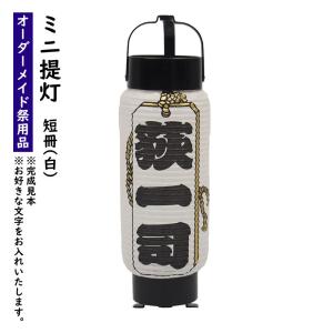 特注 名前入れミニ弓張提灯（短冊入り・赤） No.44（4号） : 祭り用品