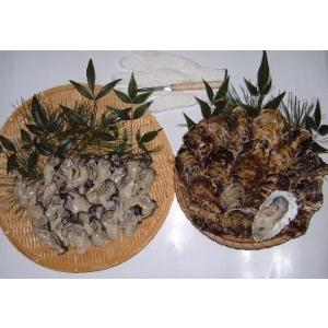 かき　カキ　牡蠣　殻付　宮城県松島産　満腹(まんぷく)セット　（加熱用むき身水なし500g＋加熱用殻付20個)　かきナイフセット付き　新鮮、生産者直送