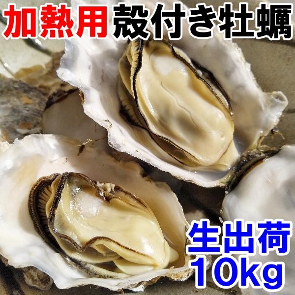 即日出荷可能 生牡蠣 加熱用 殻付き牡蠣 10kg（約70-140粒）松島牡蠣屋 カキ 牡蛎 貝類 ...