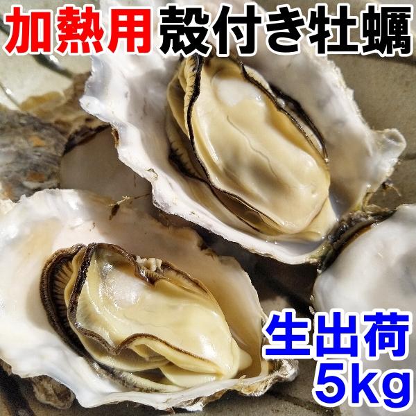 即日出荷可能 生牡蠣 加熱用 殻付き牡蠣 ５kg（約35-70粒）松島牡蠣屋 カキ 牡蛎 貝類 牡蛎...