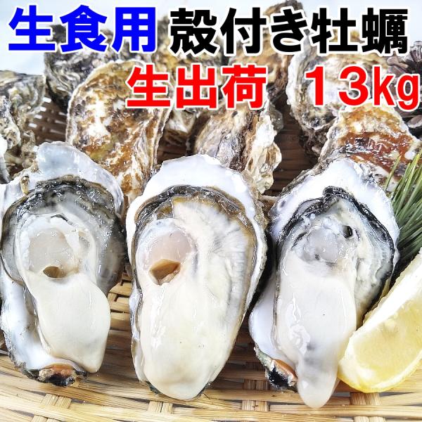 即日出荷可能 生牡蠣 生食用 殻付き牡蠣 13kg（約91-182粒）松島牡蠣屋 カキ 牡蛎 貝類 ...