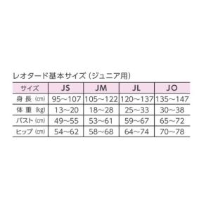 【メール便可】ササキ 新体操 ジュニア用ショー...の詳細画像1