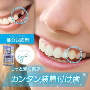 テンポラリー トゥースキット 部分対応 抜け歯用 抜け歯 欠け歯 上歯 下歯 男女兼用 疑似入れ歯 付け歯 審美歯 義歯 つけ歯 仮歯 審美