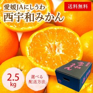 【注文後1日〜3日後に発送】西宇和みかん 愛媛 通常便【2.5kg 20〜35玉】2S〜Lサイズ 御歳暮 年末 送料無料 ギフト 贈り物