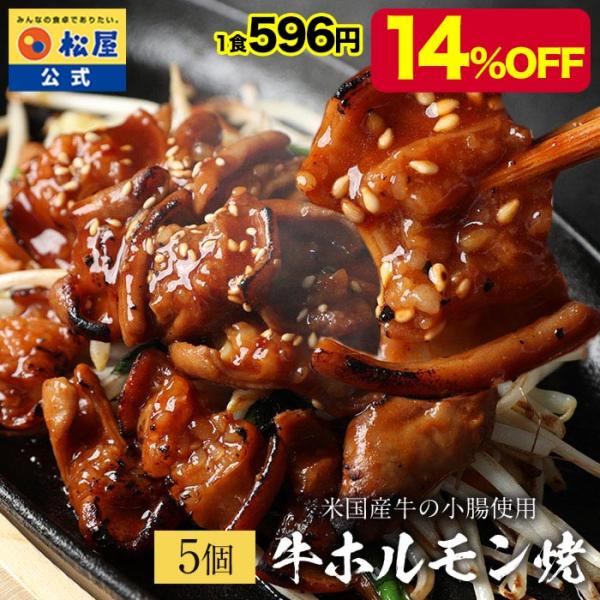 (メーカー希望小売価格3500円→2980円)(冷凍) 牛ホルモン焼き5個セット 通販限定発売 セッ...