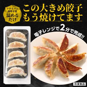(メーカー希望小売価格10000円→3999円...の詳細画像3