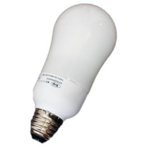 東洋ライテック 電球型蛍光灯 EFA25ENの買取情報