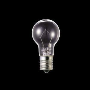 Panasonic（パナソニック） ミニクリプトン電球 LDS100V22W・W・K