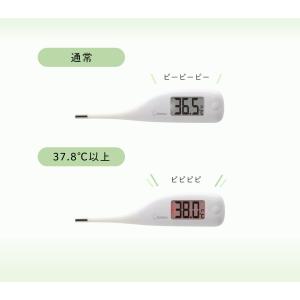 メール便可 ドリテック 電子体温計 予測検温約...の詳細画像3