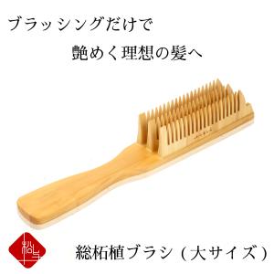 つげブラシ ヘアブラシ くし ブラシ つげ 櫛 総柘植 大 薩摩つげ 柘植 木製 伝統工芸 薩摩つげ 日本製 ギフト プレゼント レディース 王様のブランチ 髪の悩みに