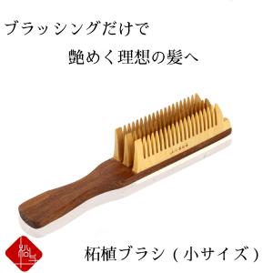 つげブラシ 小 ヘアブラシ くし ブラシ つげ 櫛 柘植 薩摩つげ 日本製 伝統子芸 ギフト プレゼント レディース 王様のブランチ｜matsuyo