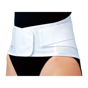 マックスベルト me2 322201 1個 日本シグマックス 19-4540-01