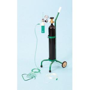 酸素吸入器（キャリータイプ） OX-500V（酸素なし） 1組 ブルークロス・エマージェンシー 01-5560-24