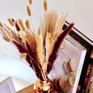 パンパスグラス Bセット Pampas gras...の商品画像