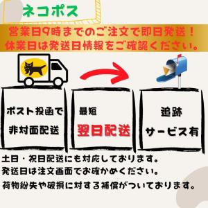 ワンピース 500円オリパ マットスワローワン...の詳細画像3