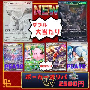 ポケモンカードゲーム トドロクツキex SAR 090/066 : メモリー