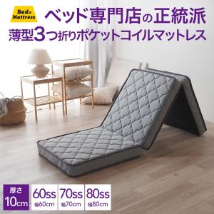 IKEA/イケア/通販】RAUDSAND ラウドサンド 折りたたみマットレス