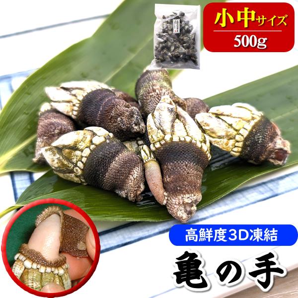 亀の手（カメノテ）（冷凍）小中サイズ　約500ｇ　（山陰浜坂港産）　ペルセベス