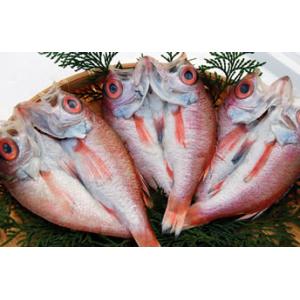 のどぐろ一夜干し(冷凍) 特大サイズ 1枚 約...の詳細画像1