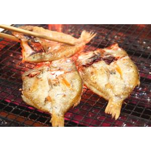 のどぐろ一夜干し(冷凍) 特大サイズ 1枚 約...の詳細画像3