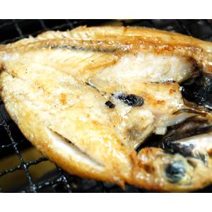 のどぐろ一夜干し(冷凍) 特大サイズ 1枚 約...の詳細画像4