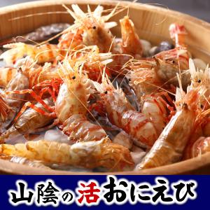 鬼エビえび 食品 の商品一覧 通販 Yahoo ショッピング