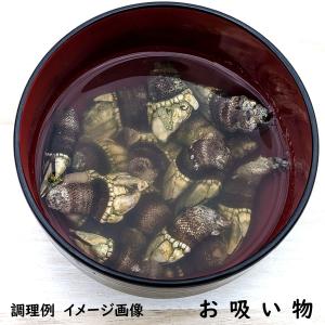 希少なサイズ 亀の手(カメノテ)(冷凍)選りす...の詳細画像3