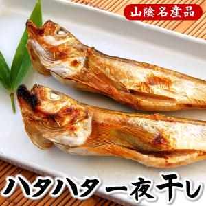 天日干し「はたはた」（冷凍）中サイズ　１０匹入り（...