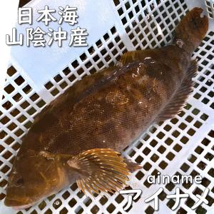 アイナメ 価格 魚 鮮魚 の商品一覧 魚介類 海産物 食品 通販 Yahoo ショッピング