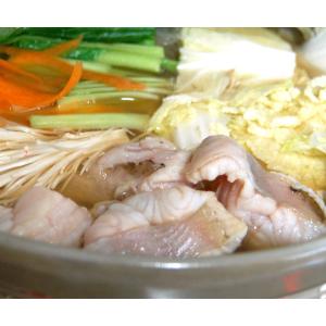 タナカゲンゲの商品一覧 通販 Yahoo ショッピング