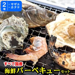 ホタテ（片貝）とサザエの海鮮バーベキューセット（冷凍） （国産）（送料無料） （さざえ、ほたて、帆立、ｂｂｑ　貝殻 ）