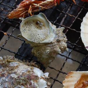 ホタテ(片貝)とサザエの海鮮バーベキューセット...の詳細画像3