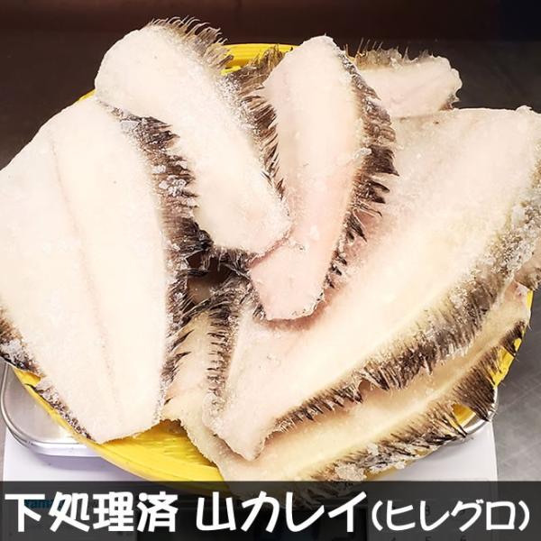 送料無料　下処理済・山カレイ（冷凍）頭落し　約800ｇ（山陰浜坂産）煮ても、揚げても美味しいお魚。（...